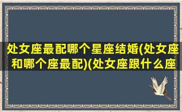 处女座最配哪个星座结婚(处女座和哪个座最配)(处女座跟什么座结婚)