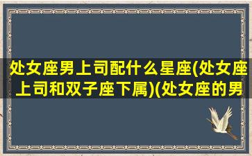 处女座男上司配什么星座(处女座上司和双子座下属)(处女座的男老板)