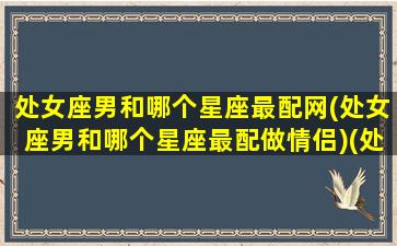 处女座男和哪个星座最配网(处女座男和哪个星座最配做情侣)(处女座男和哪个星座最般配)