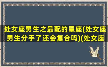 处女座男生之最配的星座(处女座男生分手了还会复合吗)(处女座男,分手后,还有联系有可能和好吗)