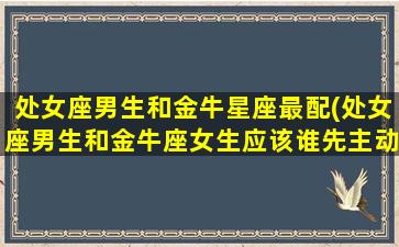 处女座男生和金牛星座最配(处女座男生和金牛座女生应该谁先主动)(处女座男和金牛座男合不合)