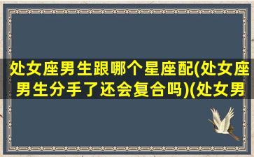 处女座男生跟哪个星座配(处女座男生分手了还会复合吗)(处女男和各个星座)