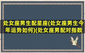 处女座男生配星座(处女座男生今年运势如何)(处女座男配对指数表)