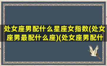 处女座男配什么星座女指数(处女座男最配什么座)(处女座男配什么座最合适)