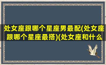 处女座跟哪个星座男最配(处女座跟哪个星座最搭)(处女座和什么星座男最配对)