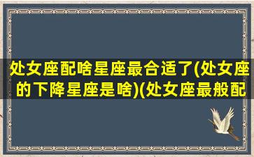 处女座配啥星座最合适了(处女座的下降星座是啥)(处女座最般配什么星座)