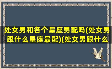 处女男和各个星座男配吗(处女男跟什么星座最配)(处女男跟什么星座配对)