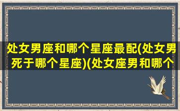 处女男座和哪个星座最配(处女男死于哪个星座)(处女座男和哪个星座最般配)