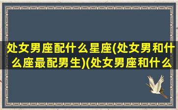 处女男座配什么星座(处女男和什么座最配男生)(处女男座和什么星座最配做夫妻俩)