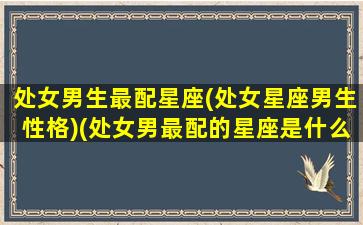 处女男生最配星座(处女星座男生性格)(处女男最配的星座是什么)