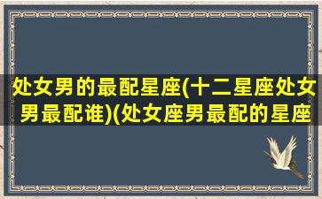 处女男的最配星座(十二星座处女男最配谁)(处女座男最配的星座排名)