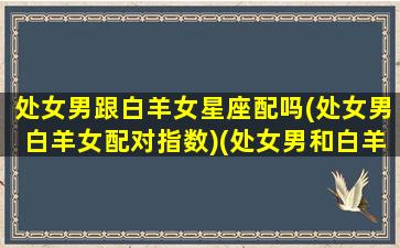 处女男跟白羊女星座配吗(处女男白羊女配对指数)(处女男和白羊座女配不配)