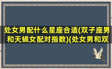 处女男配什么星座合适(双子座男和天蝎女配对指数)(处女男和双子座女配吗)