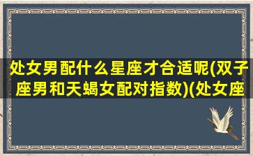 处女男配什么星座才合适呢(双子座男和天蝎女配对指数)(处女座男生配双子座女生合适吗)