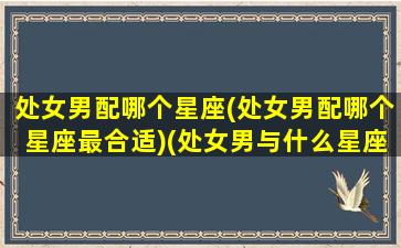 处女男配哪个星座(处女男配哪个星座最合适)(处女男与什么星座配)