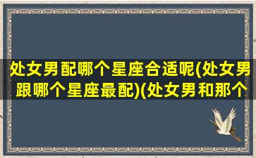 处女男配哪个星座合适呢(处女男跟哪个星座最配)(处女男和那个星座配)