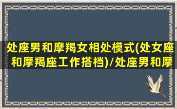 处座男和摩羯女相处模式(处女座和摩羯座工作搭档)/处座男和摩羯女相处模式(处女座和摩羯座工作搭档)-我的网站