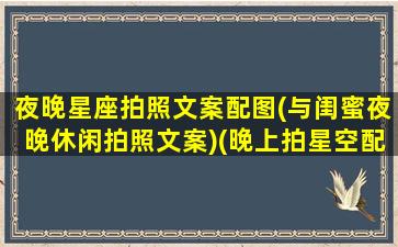 夜晚星座拍照文案配图(与闺蜜夜晚休闲拍照文案)(晚上拍星空配的说说)