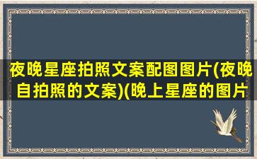 夜晚星座拍照文案配图图片(夜晚自拍照的文案)(晚上星座的图片)