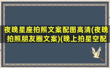 夜晚星座拍照文案配图高清(夜晚拍照朋友圈文案)(晚上拍星空配的说说)