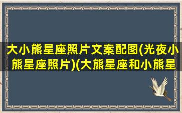 大小熊星座照片文案配图(光夜小熊星座照片)(大熊星座和小熊星座的来历是什么简写)