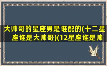 大帅哥的星座男是谁配的(十二星座谁是大帅哥)(12星座谁是帅哥)