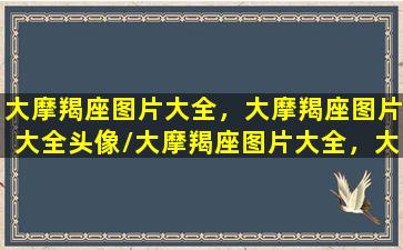 大摩羯座图片大全，大摩羯座图片大全头像/大摩羯座图片大全，大摩羯座图片大全头像-我的网站