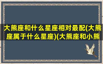 大熊座和什么星座相对最配(大熊座属于什么星座)(大熊座和小熊座之间的星座)