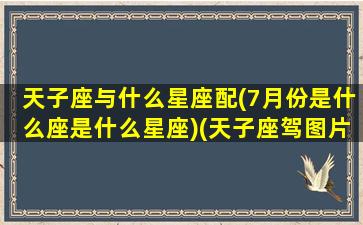 天子座与什么星座配(7月份是什么座是什么星座)(天子座驾图片)