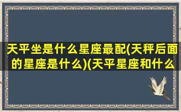 天平坐是什么星座最配(天秤后面的星座是什么)(天平星座和什么星座配对)