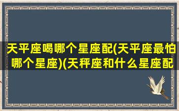 天平座喝哪个星座配(天平座最怕哪个星座)(天秤座和什么星座配婚最好)