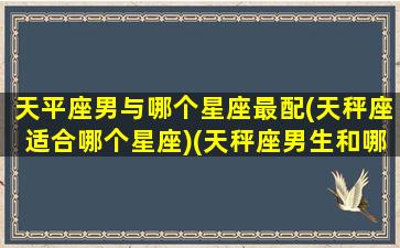 天平座男与哪个星座最配(天秤座适合哪个星座)(天秤座男生和哪个星座般配)