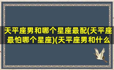 天平座男和哪个星座最配(天平座最怕哪个星座)(天平座男和什么座最配对)