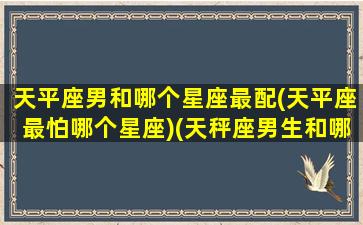 天平座男和哪个星座最配(天平座最怕哪个星座)(天秤座男生和哪个星座般配)