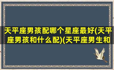 天平座男孩配哪个星座最好(天平座男孩和什么配)(天平座男生和什么星座女生配)