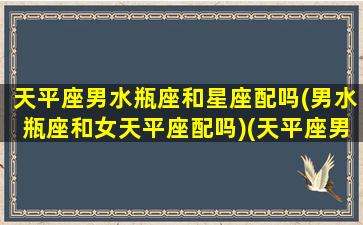 天平座男水瓶座和星座配吗(男水瓶座和女天平座配吗)(天平座男与水瓶座女是否合适)