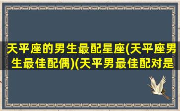 天平座的男生最配星座(天平座男生最佳配偶)(天平男最佳配对是什么星座)