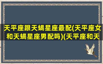 天平座跟天蝎星座最配(天平座女和天蝎星座男配吗)(天平座和天蝎座匹配的情侣)