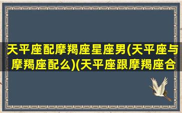 天平座配摩羯座星座男(天平座与摩羯座配么)(天平座跟摩羯座合适吗)