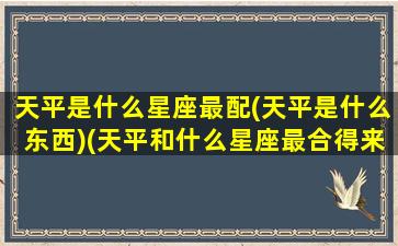 天平是什么星座最配(天平是什么东西)(天平和什么星座最合得来)