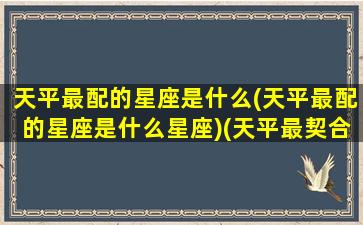 天平最配的星座是什么(天平最配的星座是什么星座)(天平最契合的星座配对)