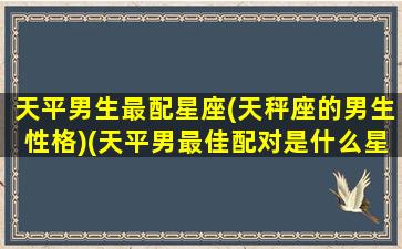 天平男生最配星座(天秤座的男生性格)(天平男最佳配对是什么星座)