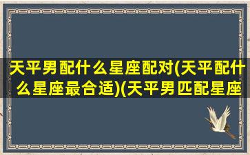 天平男配什么星座配对(天平配什么星座最合适)(天平男匹配星座配对)