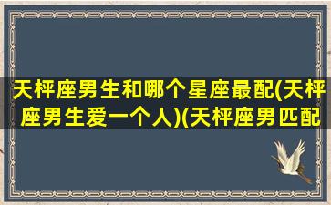 天枰座男生和哪个星座最配(天枰座男生爱一个人)(天枰座男匹配什么星座好)