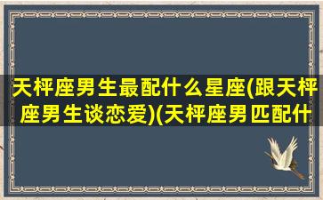 天枰座男生最配什么星座(跟天枰座男生谈恋爱)(天枰座男匹配什么星座好)