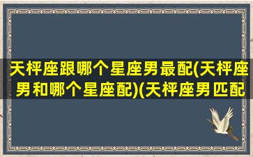 天枰座跟哪个星座男最配(天枰座男和哪个星座配)(天枰座男匹配)