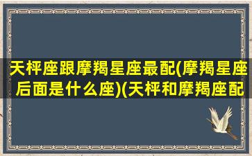 天枰座跟摩羯星座最配(摩羯星座后面是什么座)(天枰和摩羯座配对指数)