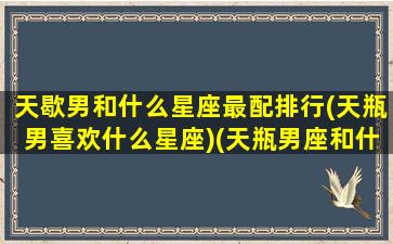 天歇男和什么星座最配排行(天瓶男喜欢什么星座)(天瓶男座和什么星座最配女生)