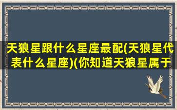 天狼星跟什么星座最配(天狼星代表什么星座)(你知道天狼星属于哪个星座吗)