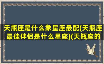 天瓶座是什么象星座最配(天瓶座最佳伴侣是什么星座)(天瓶座的星座属性是什么)